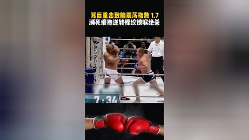FB体育平台-斯图加特奋勇拼搏，逆转战局取得胜利